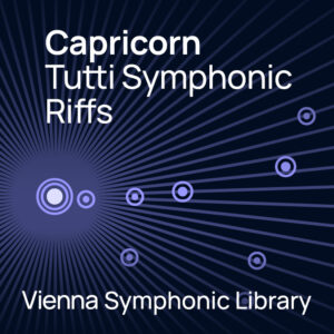 Big Bang Orchestra - CAPRICORN