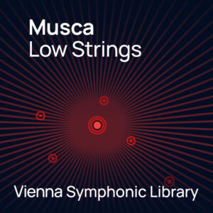 Big Bang Orchestra - MUSCA