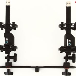 RN17 stereo pair