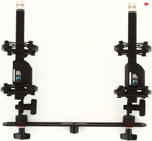RN17 stereo pair