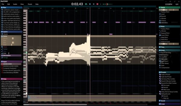 RipX DAW - Image 2
