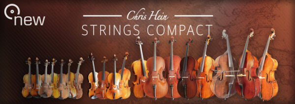 Chris Hein Strings Compact - Image 3