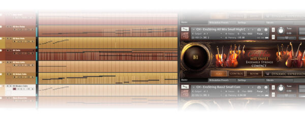 Chris Hein Strings Compact - Image 2