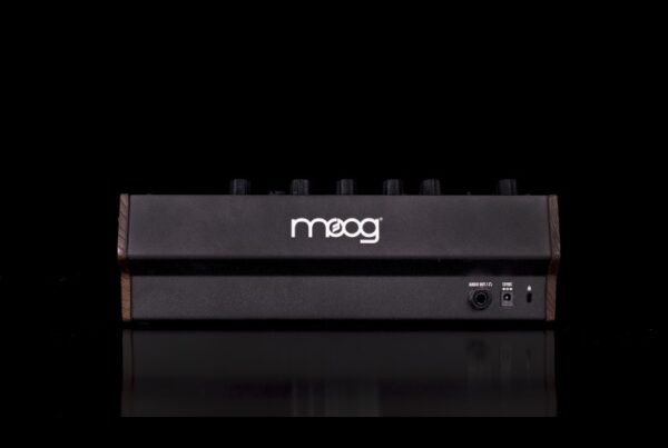 DFAM - Image 3