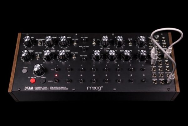 DFAM - Image 4