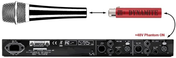 DM1 - Image 2