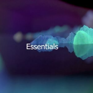 Essentials Bundle