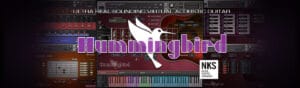 Hummingbird
