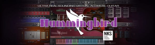 Hummingbird