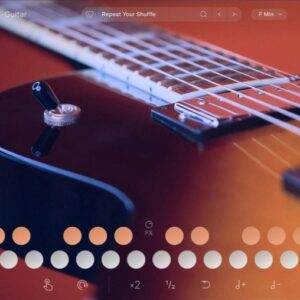 Guitar