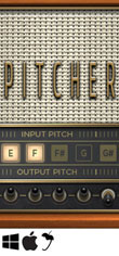 Pitcher