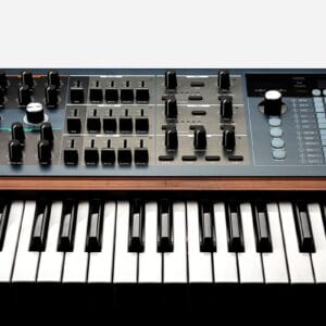 Polybrute
