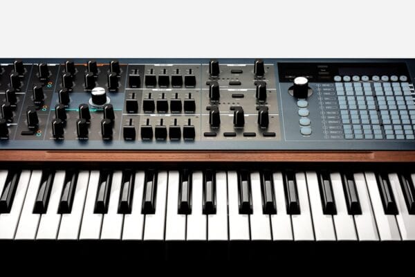 Polybrute