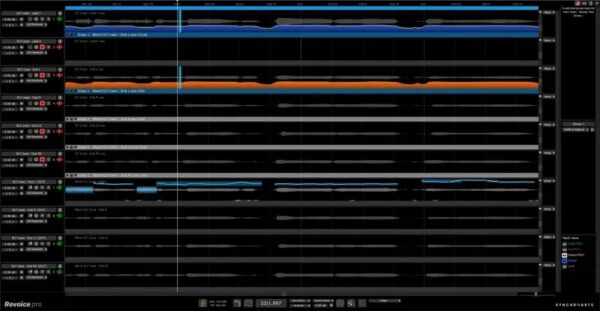 Revoice Pro 5 - Image 3
