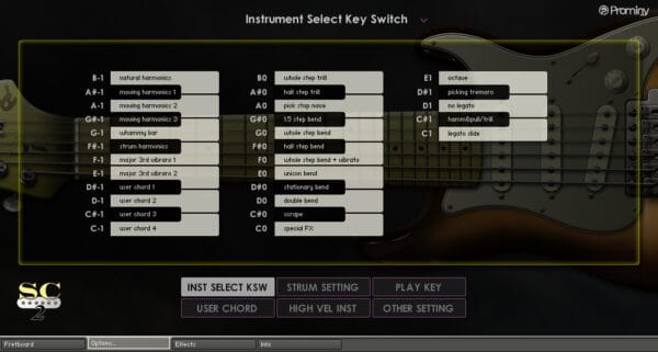 SC Electric Guitar 2 - Image 3