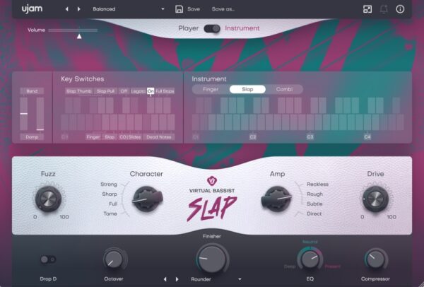 Virtual Bassist SLAP - Image 3