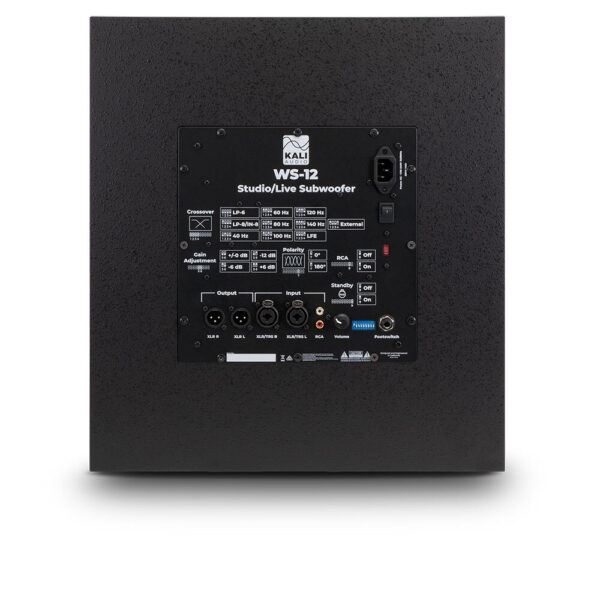 WS-12 v2