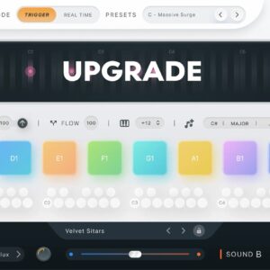 Fluid Chords 2 Upgrade