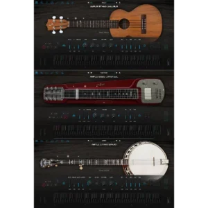 Ample 3in1 Ethno Bundle