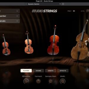 Studio Strings