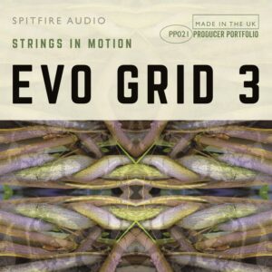 Evo Grid 3