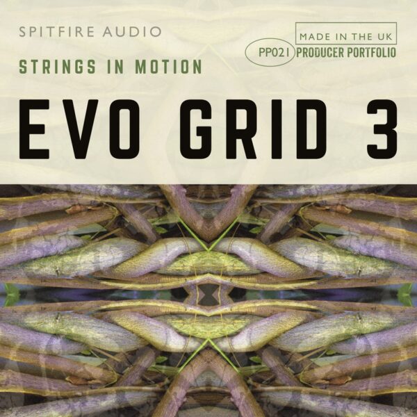 Evo Grid 3