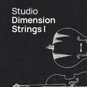 Studio Dimension Strings 1