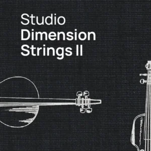Studio Dimension Strings 2