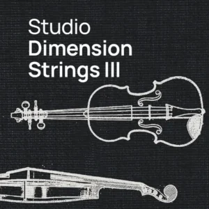 Studio Dimension Strings 3