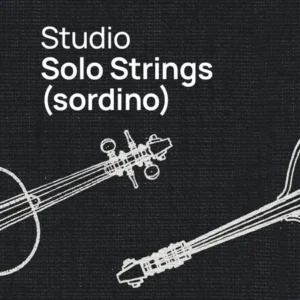 Studio Solo Strings (sordino)