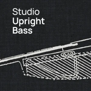 Studio Upright Bass