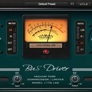 Bus Driver