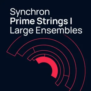 Synchron Prime Strings I