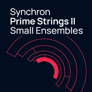 Synchron Prime Strings II