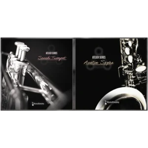 Atelier Series Austin Bundle