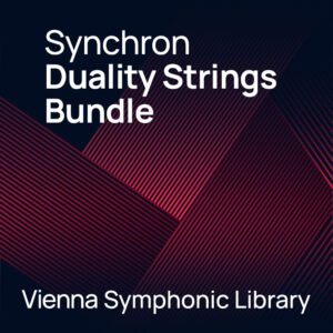 Synchron Duality Strings Bundle (Standard)